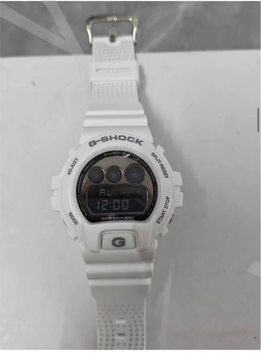 G-Shock DW-6900 White in White